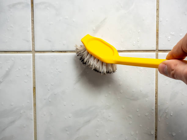Attic Mold Removal in San Leon, TX